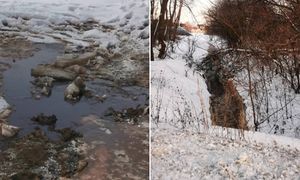 Brunatna ciecz w rowie. Zakłady mięsne ukarane