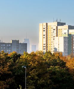 Ruszył nabór w programie "Ciepłe mieszkanie". Do wzięcia nawet 44 tys. zł