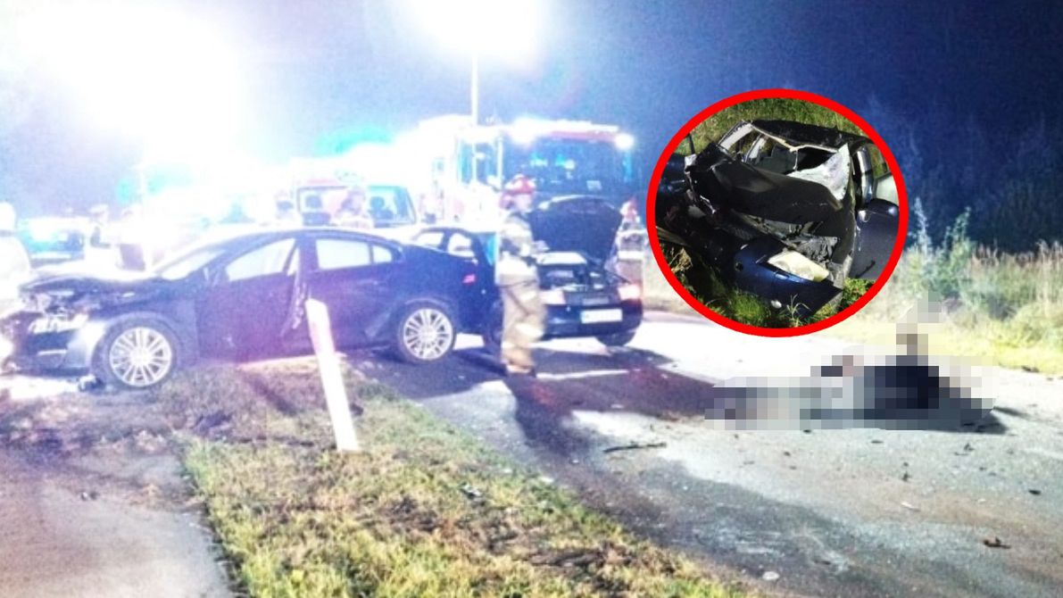 Wypadek z udziałem łosia w Bardonkach