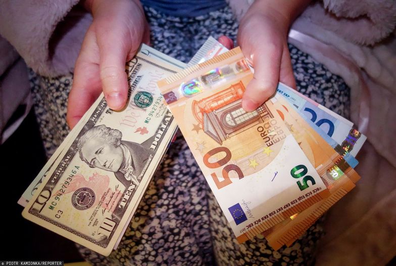 Euro zamiast złotówek? "Polacy skorzystają na własnej walucie"
