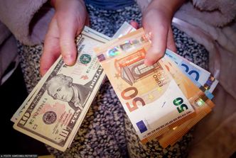 Euro zamiast złotówek? "Polacy skorzystają na własnej walucie"