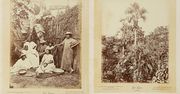 150-letnie zdjęcia z Brazylii sprzedane na aukcji za 81 tys. dolarów