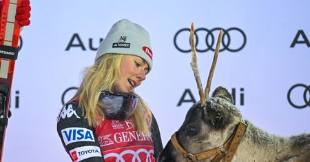 Próbowała pocałować renifera. Porównała jego reakcję do swojego chłopaka