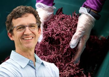 Masz nadciśnienie? Lekarz mówi, co powinieneś zrobić, by ratować serce