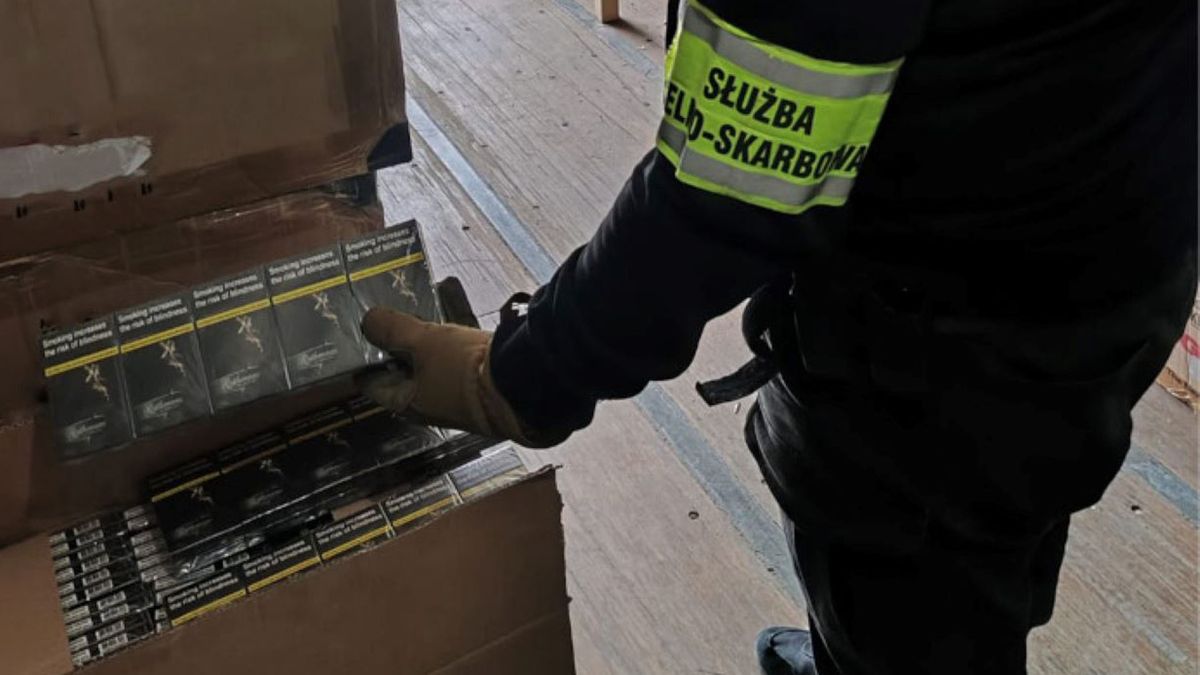 Kontenery pełne nielegalnego towaru