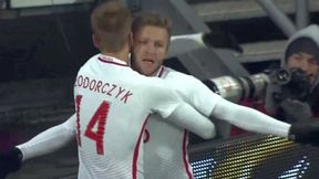 Polska - Słowenia 1:1: gol Teodorczyka