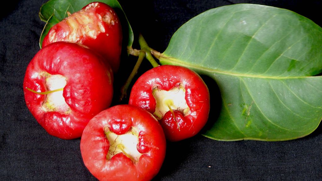 Surowe jabłko różane