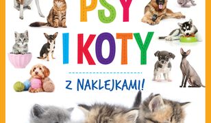 Wszystko wiem! Psy i koty