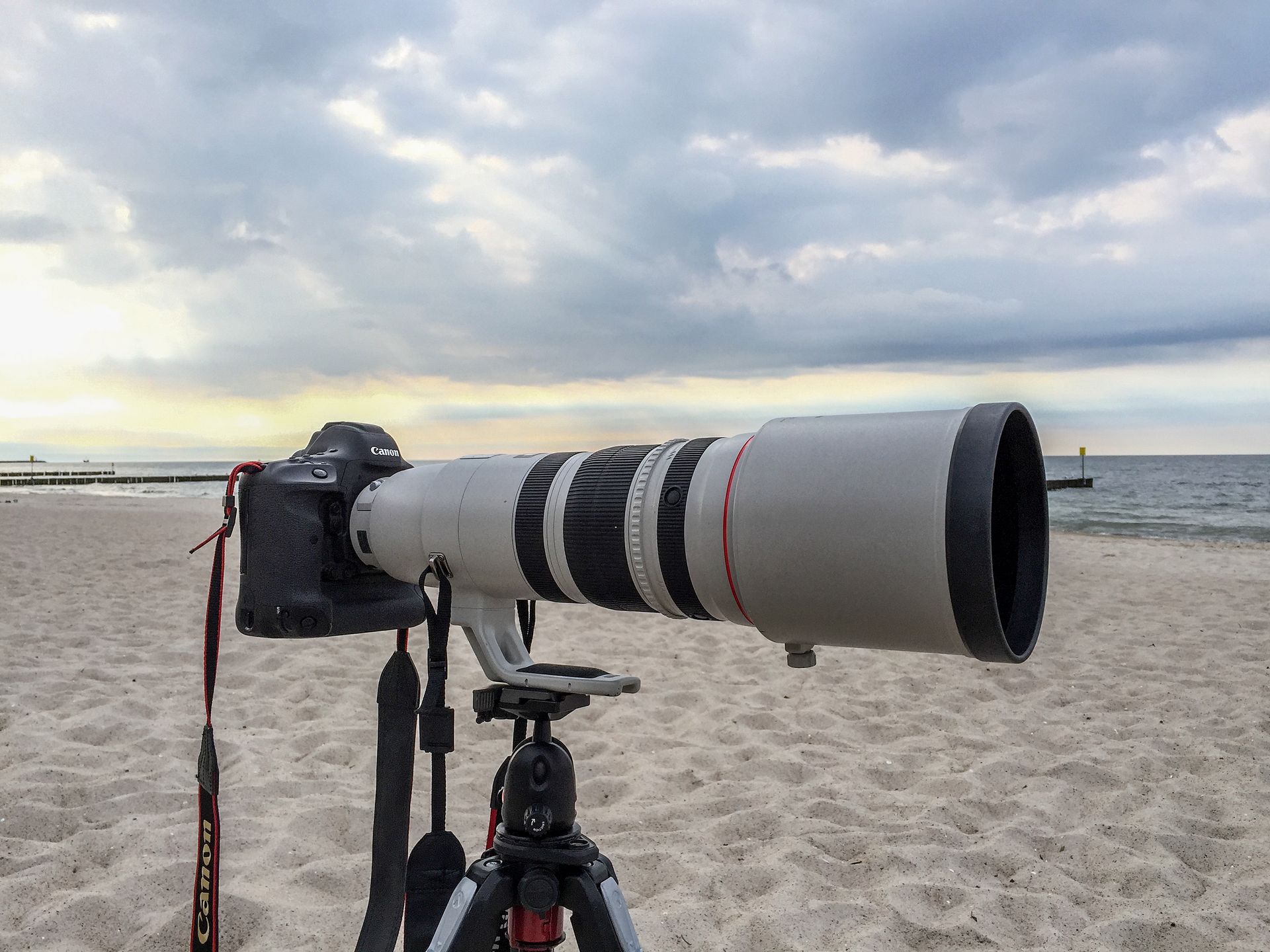 Canon EOS-1D X Mark II - pierwsze zdjęcia przykładowe 1