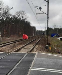 Tragedia na torach. 37-latek zginął pod kołami pociągu