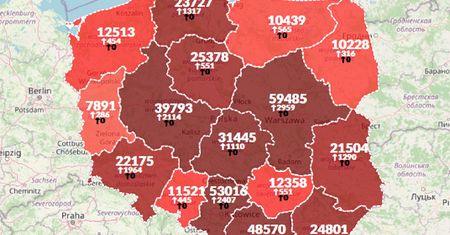 Koronawirus w Polsce. Liczba przypadków przekroczyła 400 tysięcy [Mapa zakażeń]
