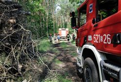 Wielkopolskie. Drewniany domek stanął w ogniu. W środku sześcioosobowa rodzina