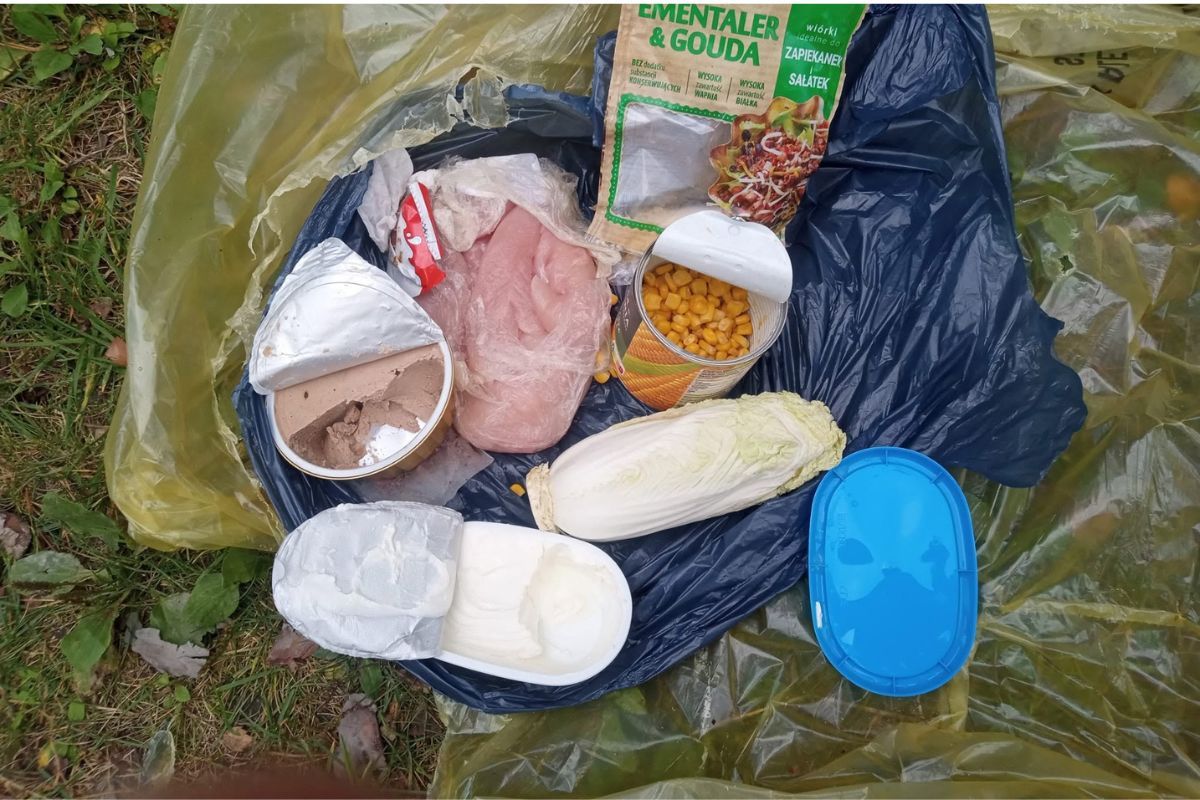"Prezent" po turystach. Naprawdę to zostawili. Leśnicy zniesmaczeni