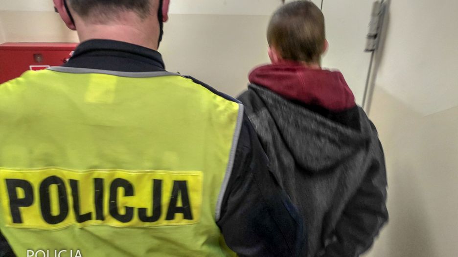 policja