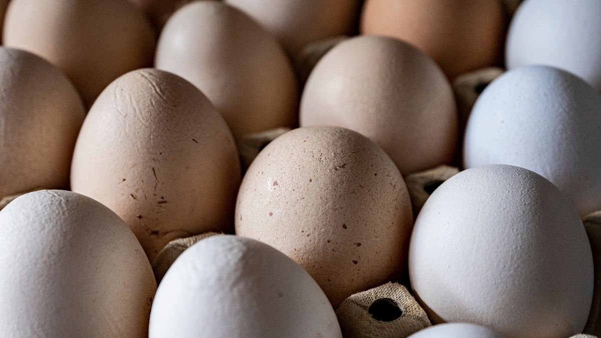 Takie jajka mają najwięcej wartości, ale wielu je omija