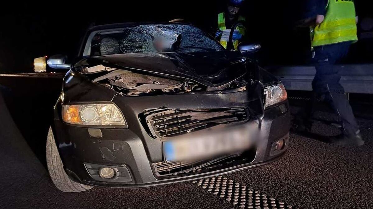 Kierowca volvo potrącił mężczyznę na S19 w Wilkołazie