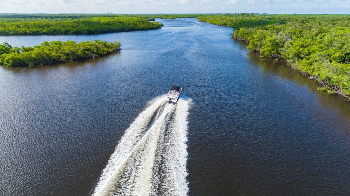 Park Narodowy Everglades (zdjęcie ilustracyjne)