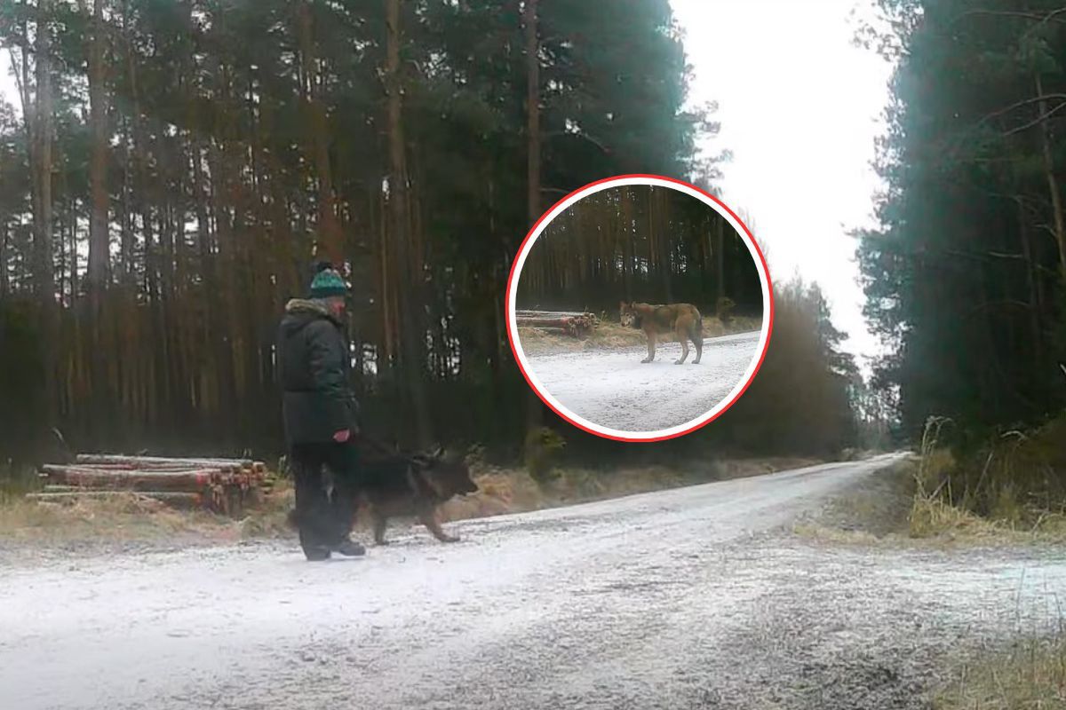 Ujęcia dzieli tylko godzina. Leśnicy: nie zdajemy sobie sprawy. Zobaczcie