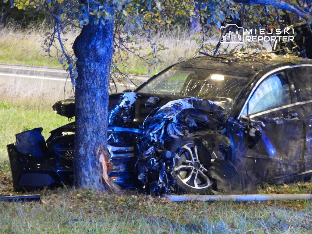 Samochód osobowy zniszczony w wyniku zderzenia z drzewem na poboczu drogi, otoczony trawą i niską roślinnością.