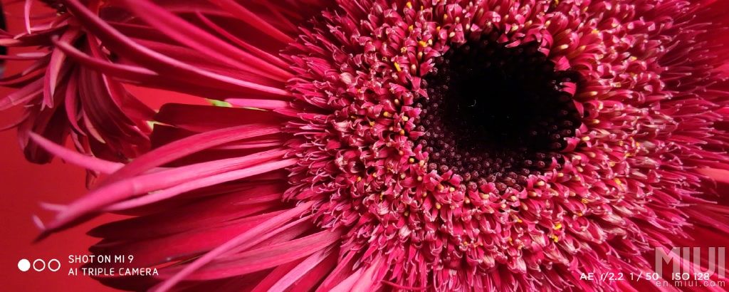 Możliwości aparatu Xiaomi Mi 9, tryb makro, źródło: forum MIUI.