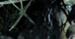 "Blair Witch": wiedźma z Blair na Snapchacie