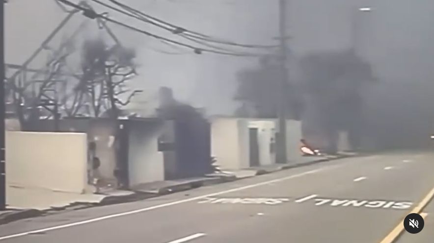 Paris Hilton watched her burning house on television.