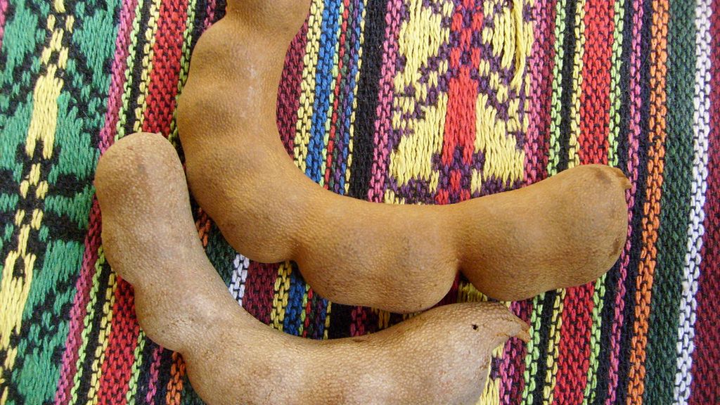 Surowe tamaryndy (owoce)