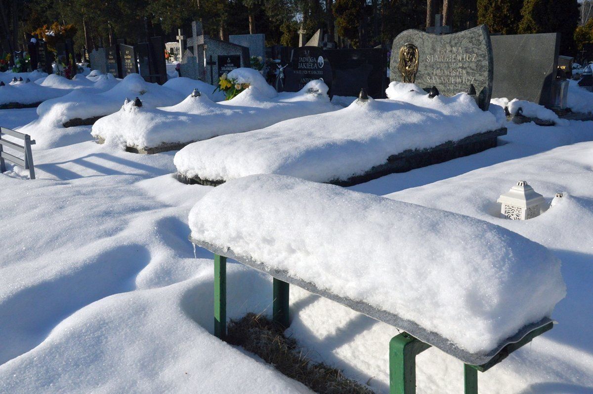Stalowa Wola: Cmentarz w zimowy wystroju to niezwykły widok. Zobacz zdjęcia