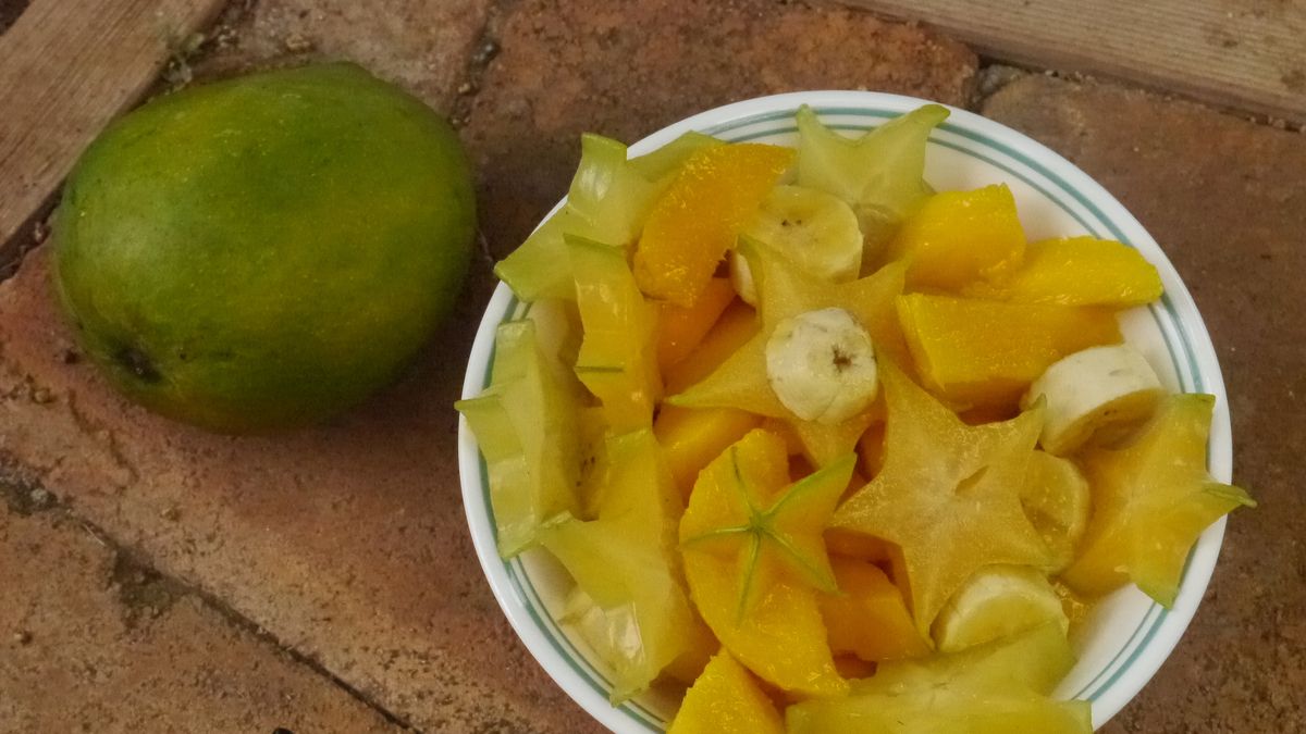 Sałatka owocowa tropikalna w puszce w ciężkim syropie (owoce i płyn)