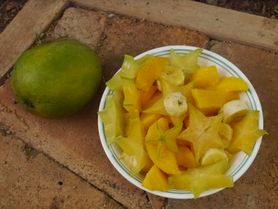Sałatka owocowa tropikalna w puszce w ciężkim syropie (owoce i płyn)