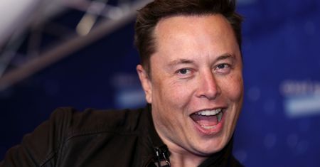 Elon Musk błyskotliwy? "Nawet kota nie dałbym mu popilnować"