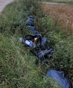 Myślał, że będzie bezkarny. Zdradził go sprawdzian 12-latka z rodziny