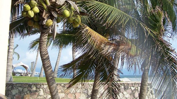 Wakacje w tropikach - lekarze radzą, jak się przygotować 1