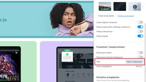 Opera: opcja VPN na liście