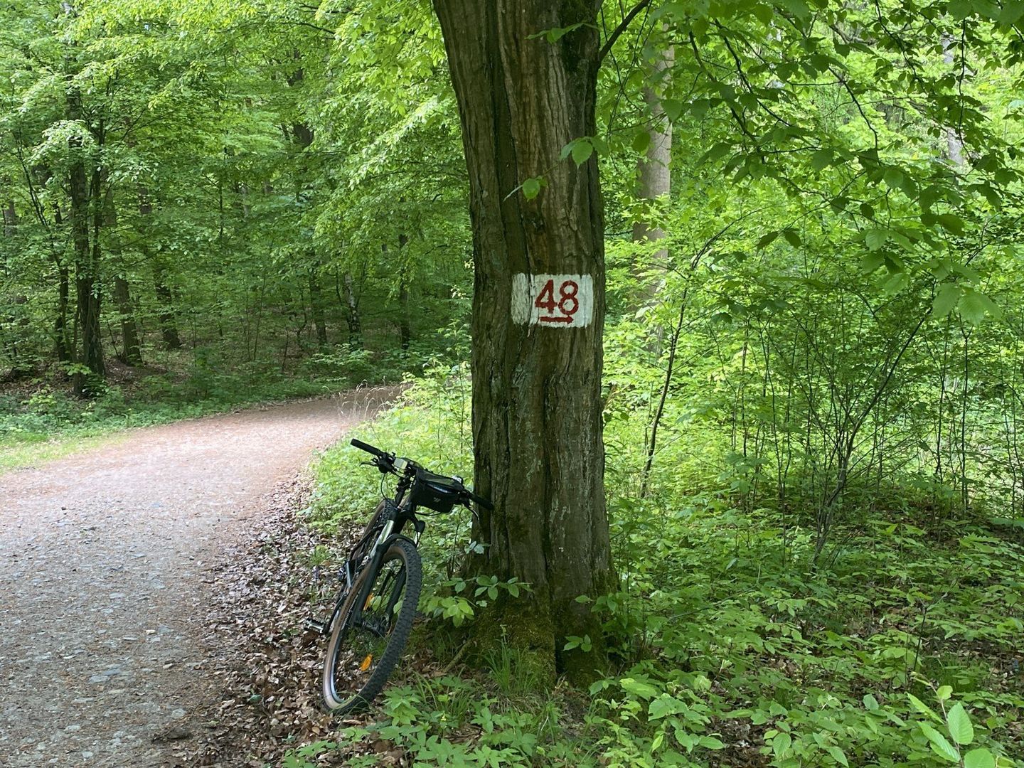 Nieopodal Leszna niesamowite wrażenie robi Mórkowski Jar ze zbiornikiem wodnym i platformą widokową. Warto tam pojechać, aby przez kilka godzin odpocząć na łonie natury