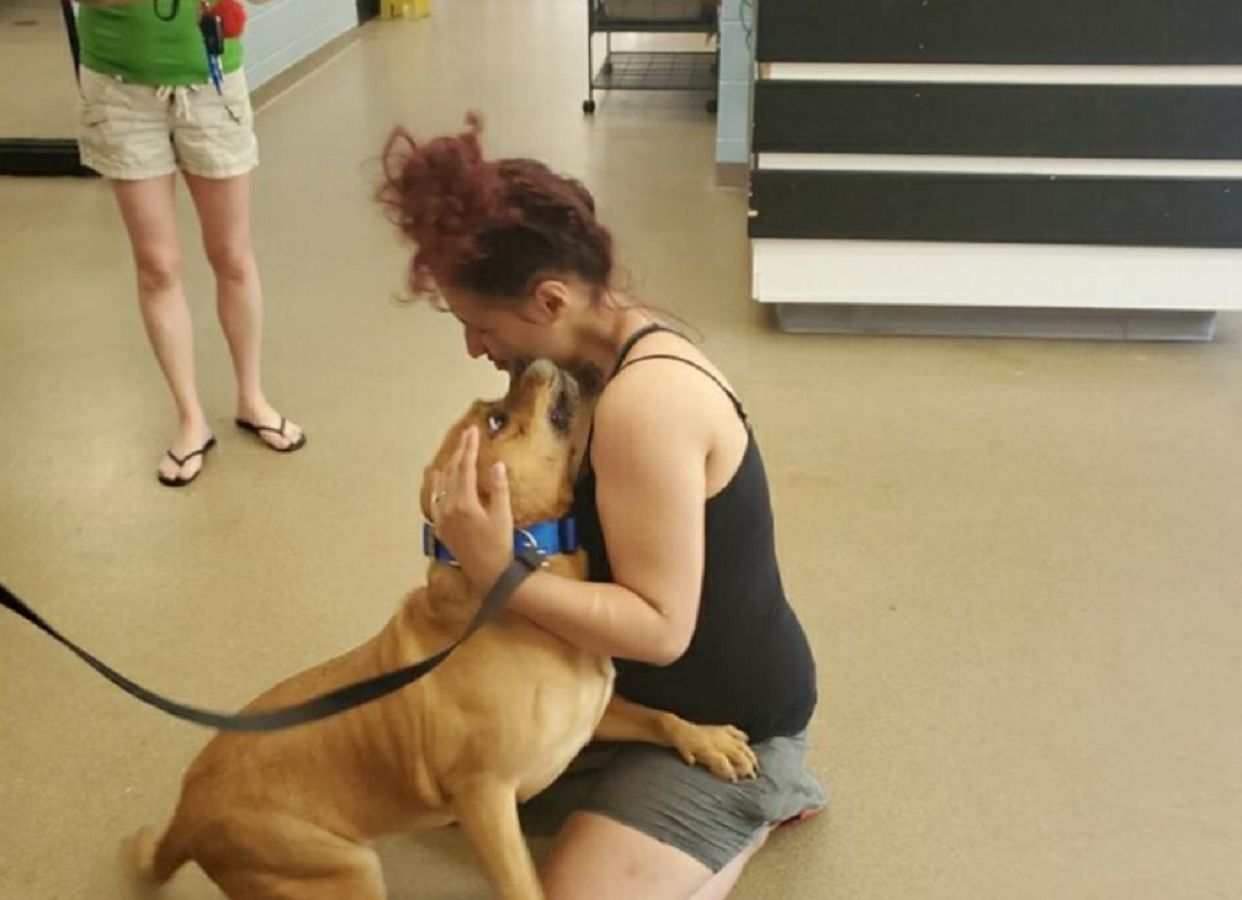 Chciała adoptować psa. W schronisku znalazła zgubionego lata temu pupila