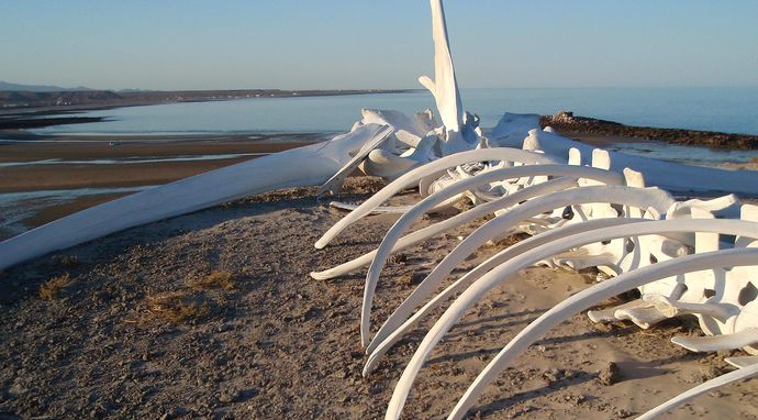 W poszukiwaniu potwora 3