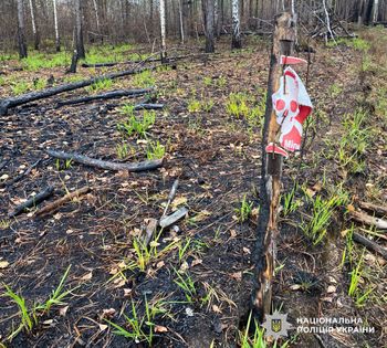 Ukraina. Eksplozje przy granicy z Białorusią. Nie żyje pięć osób