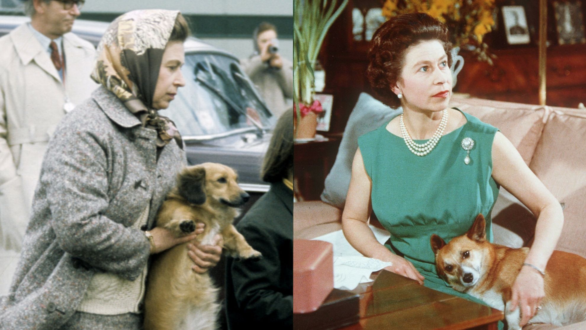 Czego nie mogą robić royalsi? 