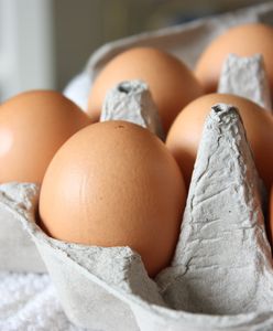 Salmonella wykryta w jajach. Partia będzie wycofana ze sprzedaży