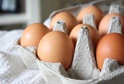 Salmonella wykryta w jajach. Partia będzie wycofana ze sprzedaży