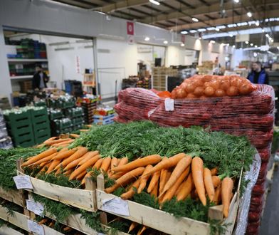 "Oszukali polską wieś". Kosiniak-Kamysz o działaniach PiS