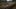Mount & Blade II: Bannerlord z datą premiery i zwiastunem