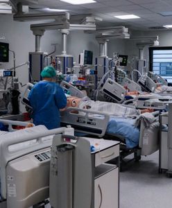 "Newsroom". Program specjalny WP