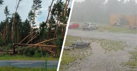 Potężne burze przeszły przez część kraju. Połamane drzewa i ewakuacja
