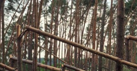 Nawałnica przeszła przez lasy pod Skwierzyną. Apel o ostrożność
