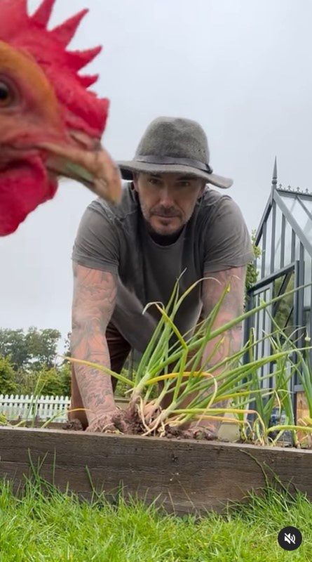 David Beckham świętuje 50. urodziny