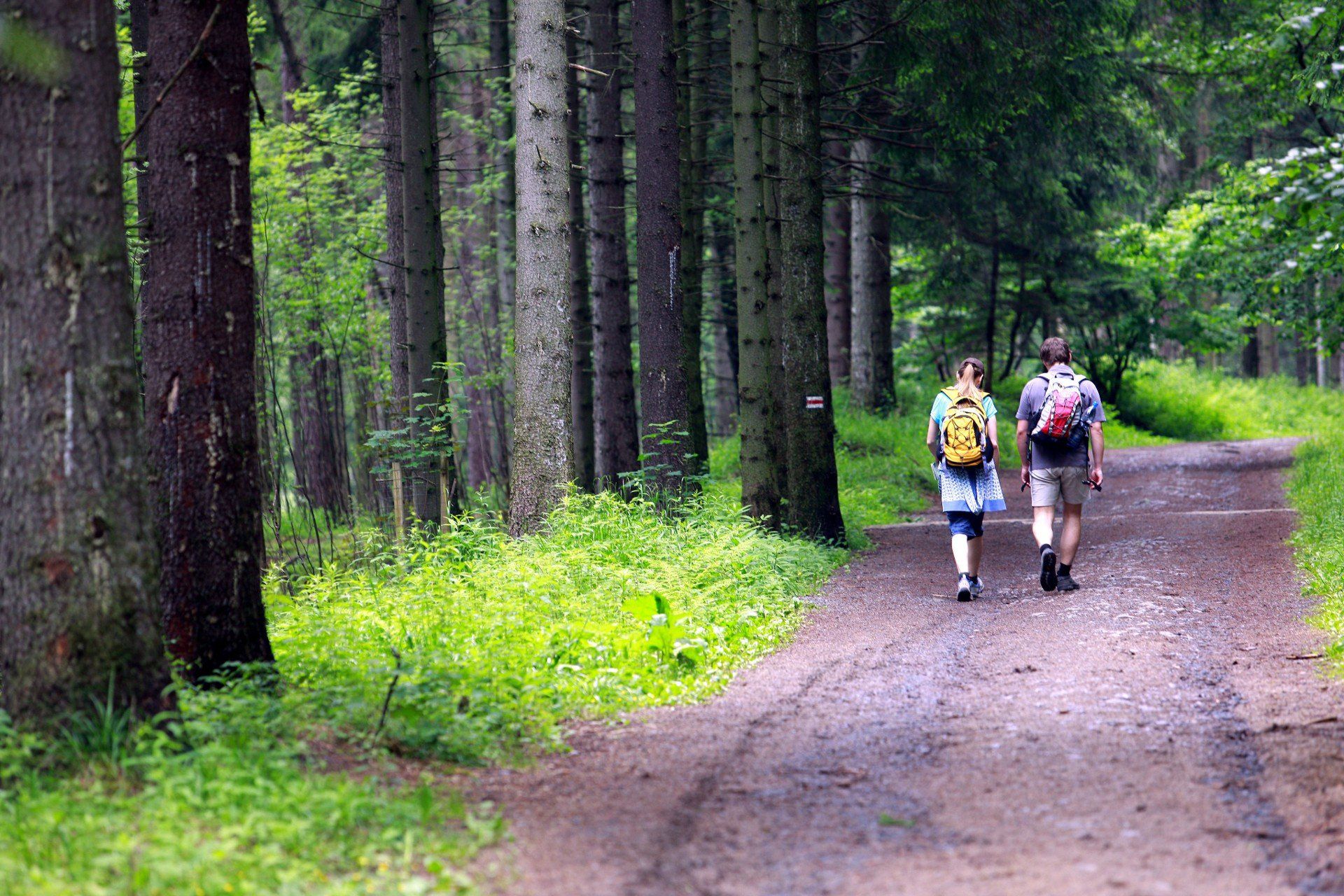 07-07-2009 KARPACZ TURYSCI SPACERUJACY NA SZLAKU DO KOTLA LOMNICZKI SZLAK TURYSTA WEDROWKA TREKKING GORY KARKONOSZE KOCIOL LOMNICZKI GAZETA WROCLAWSKA MARCIN OLIVA SOTO / POLSKAPRESS