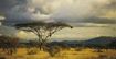 Kenia - powrót do źródeł