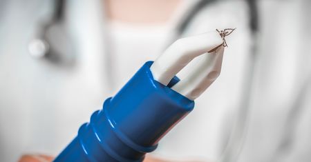 Zmiana DNA u kleszczy. Naukowcy o przełomowej metodzie walki z boreliozą